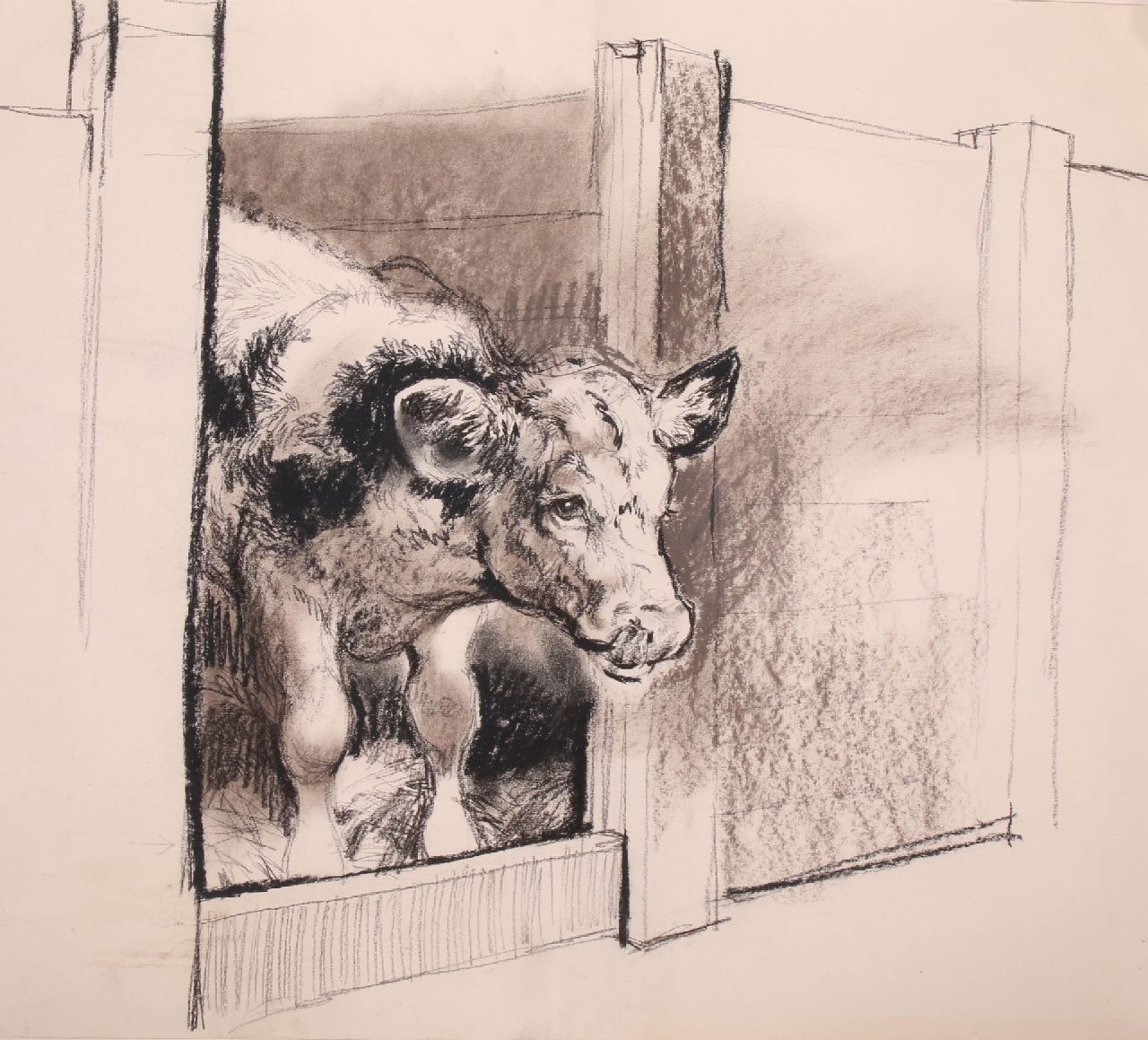 Poortvliet R. | Rien Poortvliet, Kalfje, houtskool op papier 50,0 x 64,9 cm Poortvliet R. | Rien Poortvliet, Kalfje, houtskool op papier 50,0 x 64,9 cm