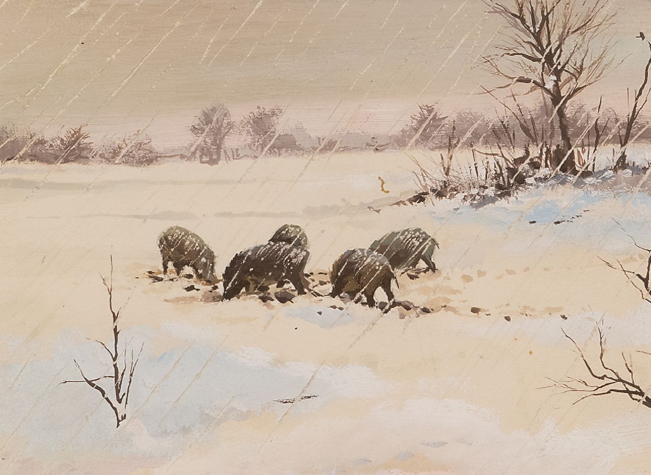 Poortvliet R.  | Rien Poortvliet | Aquarellen en tekeningen te koop aangeboden | Wilde zwijnen in de sneeuw, Hoge Veluwe, gouache op papier 12,6 x 17,3 cm