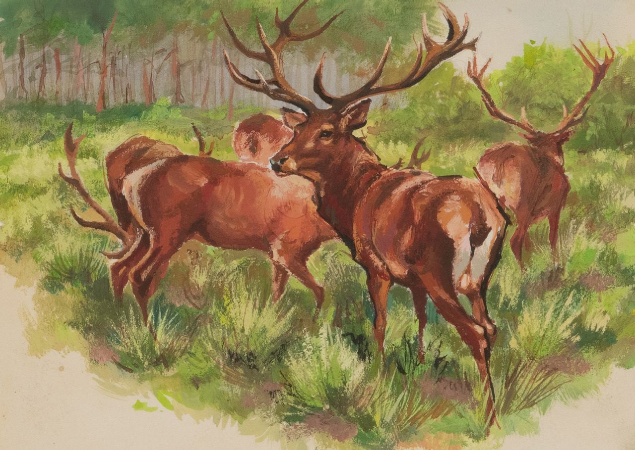 Poortvliet R. | Rien Poortvliet | Aquarellen en tekeningen te koop aangeboden | Edelherten uit het bos, in de avond, Hoge Veluwe, gouache op papier 13,5 x 18,0 cm Poortvliet R. | Rien Poortvliet | Aquarellen en tekeningen te koop aangeboden | Edelherten uit het bos, in de avond, Hoge Veluwe, gouache op papier 13,5 x 18,0 cm