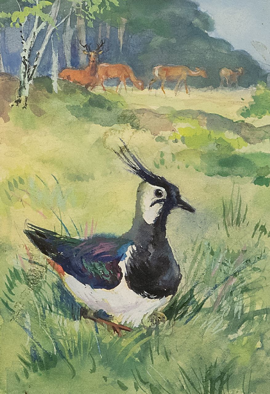 Poortvliet R. | Rien Poortvliet | Aquarellen en tekeningen te koop aangeboden | Broedende kievit in open wei met reeën, Hoge Veluwe, gouache op papier 13,5 x 9,0 cm Poortvliet R. | Rien Poortvliet | Aquarellen en tekeningen te koop aangeboden | Broedende kievit in open wei met reeën, Hoge Veluwe, gouache op papier 13,5 x 9,0 cm