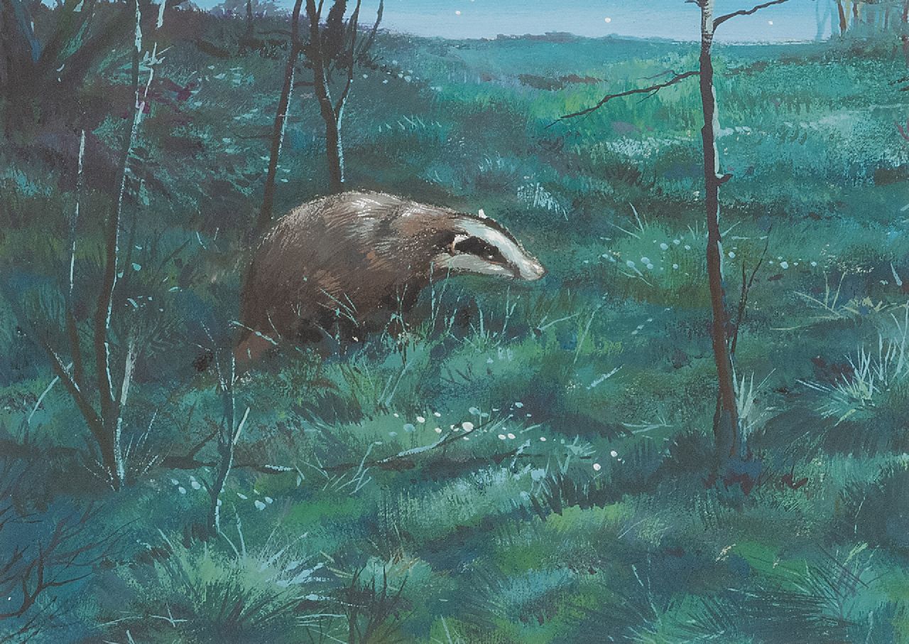 Poortvliet R.  | Rien Poortvliet | Aquarellen en tekeningen te koop aangeboden | Een das op pad in de schemering, Hoge Veluwe, gouache op papier 12,9 x 17,3 cm