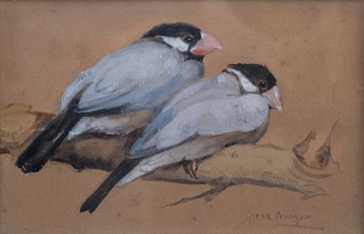 Bruigom M.C.  | Margaretha Cornelia 'Greta' Bruigom | Aquarellen en tekeningen te koop aangeboden | Twee rijstvogels op een tak, aquarel op papier 10,1 x 15,7 cm, gesigneerd rechtsonder en zonder lijst