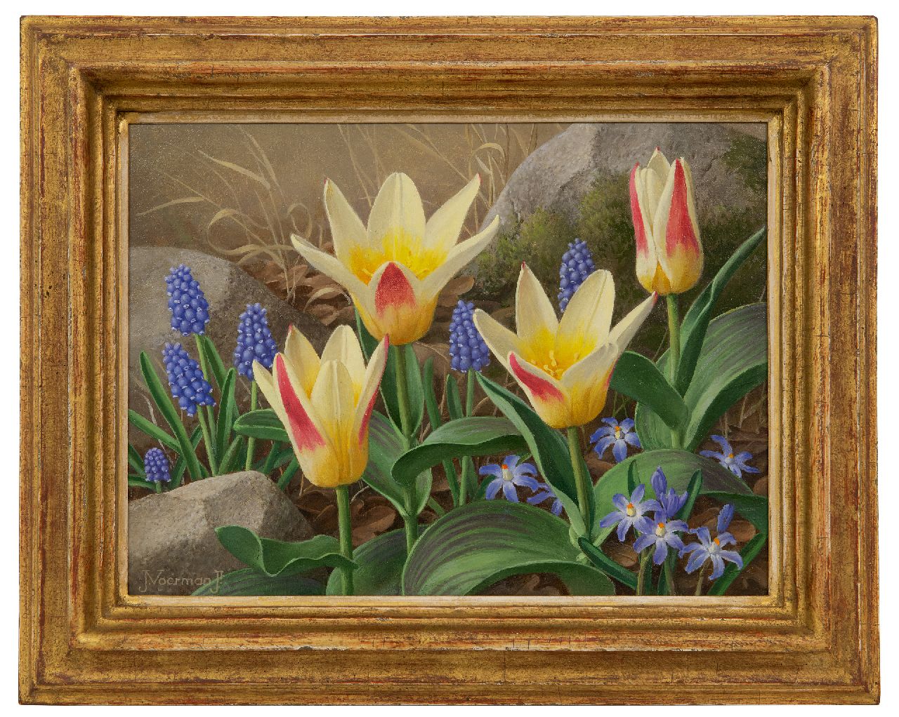 Voerman jr. J. | Jan Voerman jr. | Schilderijen te koop aangeboden | Tulpen, blauwe druifjes en scilla, olieverf op doek op board 22,4 x 29,9 cm, gesigneerd linksonder Voerman jr. J. | Jan Voerman jr. | Schilderijen te koop aangeboden | Tulpen, blauwe druifjes en scilla, olieverf op doek op board 22,4 x 29,9 cm, gesigneerd linksonder