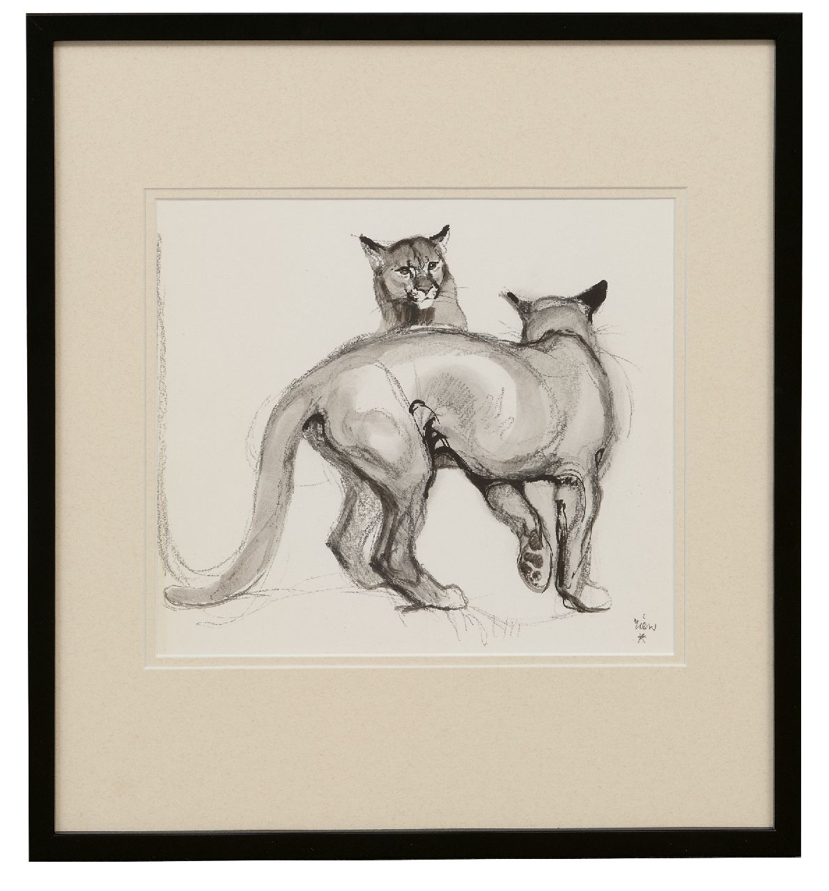 Poortvliet R. | Rien Poortvliet, Spelende panters, krijt en Oost-Indische inkt op papier 21,0 x 23,5 cm, gesigneerd rechtsonder Poortvliet R. | Rien Poortvliet, Spelende panters, krijt en Oost-Indische inkt op papier 21,0 x 23,5 cm, gesigneerd rechtsonder