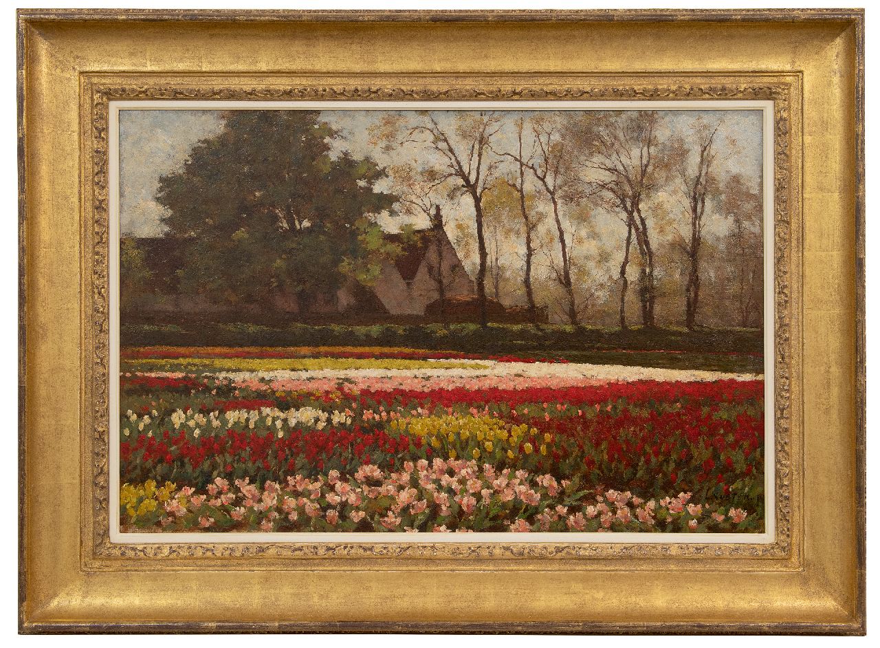 Koster A.L.  | Anton Louis 'Anton' Koster, Bloeiende tulpenvelden, olieverf op doek 53,5 x 81,9 cm, gesigneerd rechtsonder
