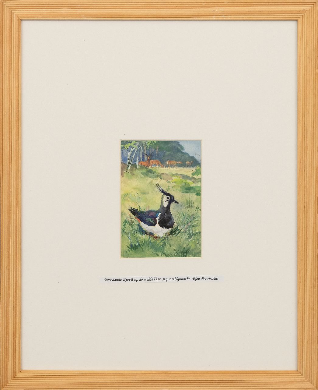 Poortvliet R. | Rien Poortvliet | Aquarellen en tekeningen te koop aangeboden | Broedende kievit in open wei met reeën, Hoge Veluwe, gouache op papier 13,5 x 9,0 cm Poortvliet R. | Rien Poortvliet | Aquarellen en tekeningen te koop aangeboden | Broedende kievit in open wei met reeën, Hoge Veluwe, gouache op papier 13,5 x 9,0 cm