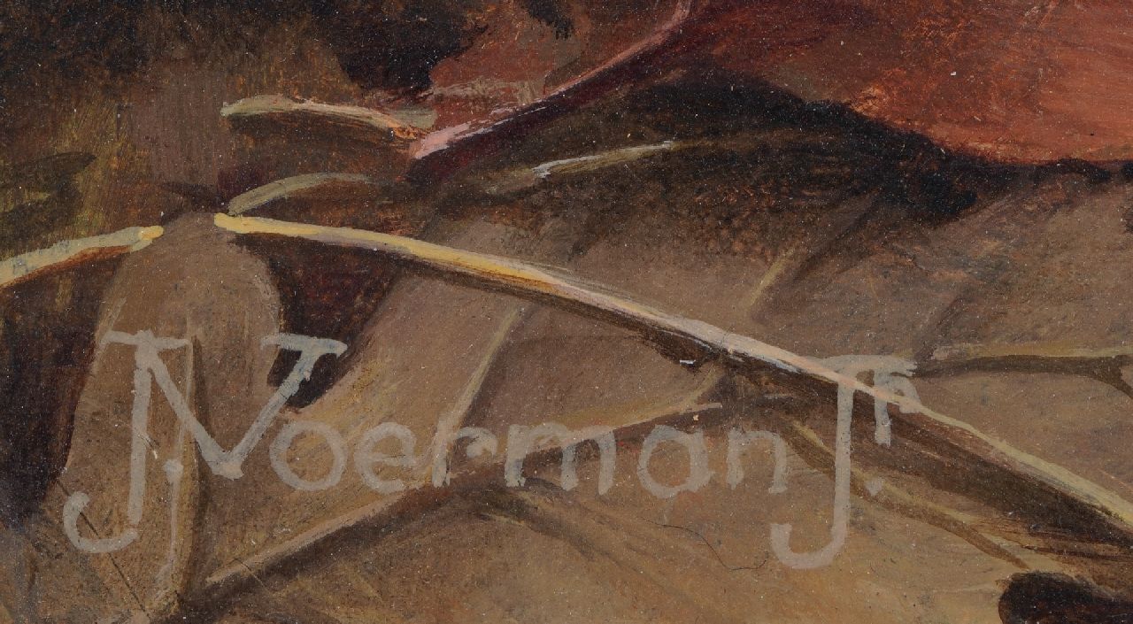 Jan Voerman jr. signaturen Vliegenzwammen