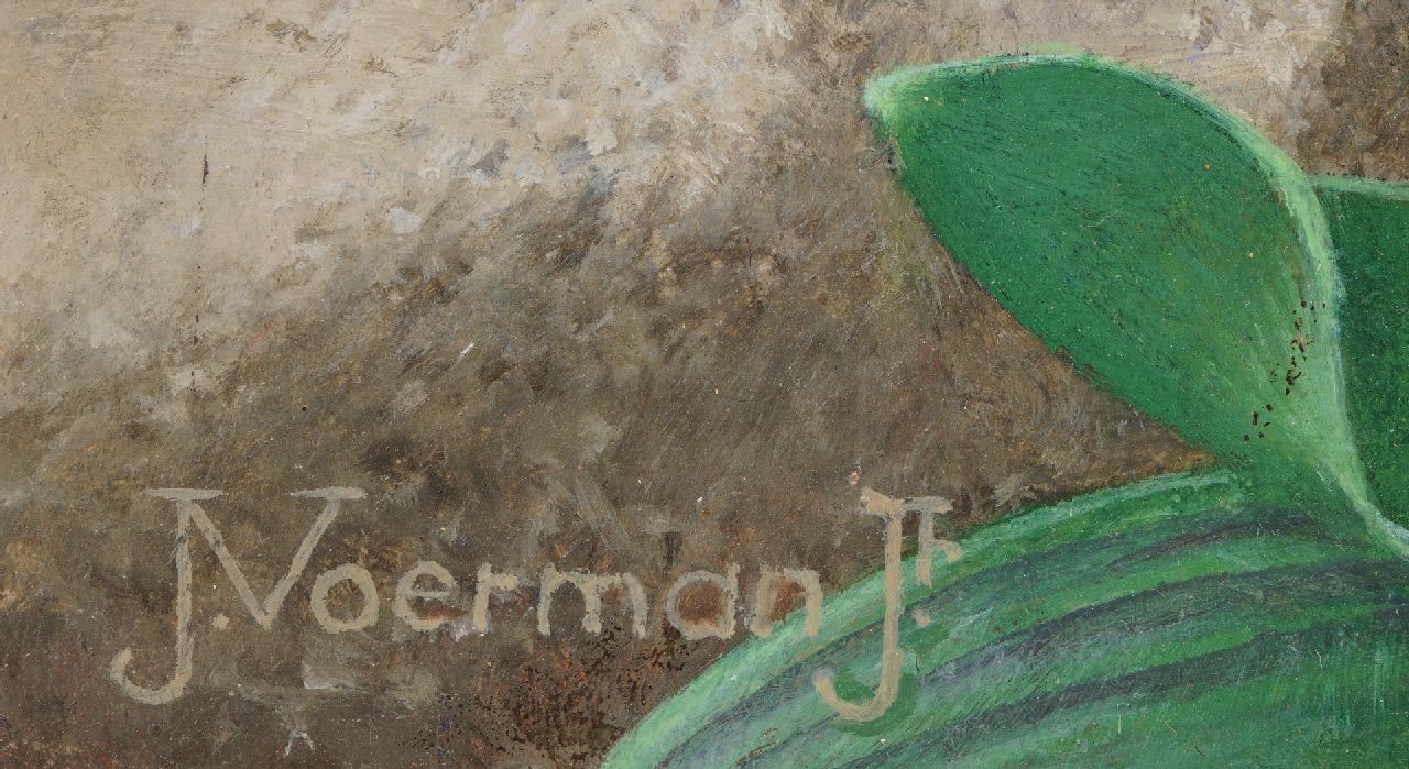 Jan Voerman jr. signaturen Tulpen, blauwe druifjes en scilla