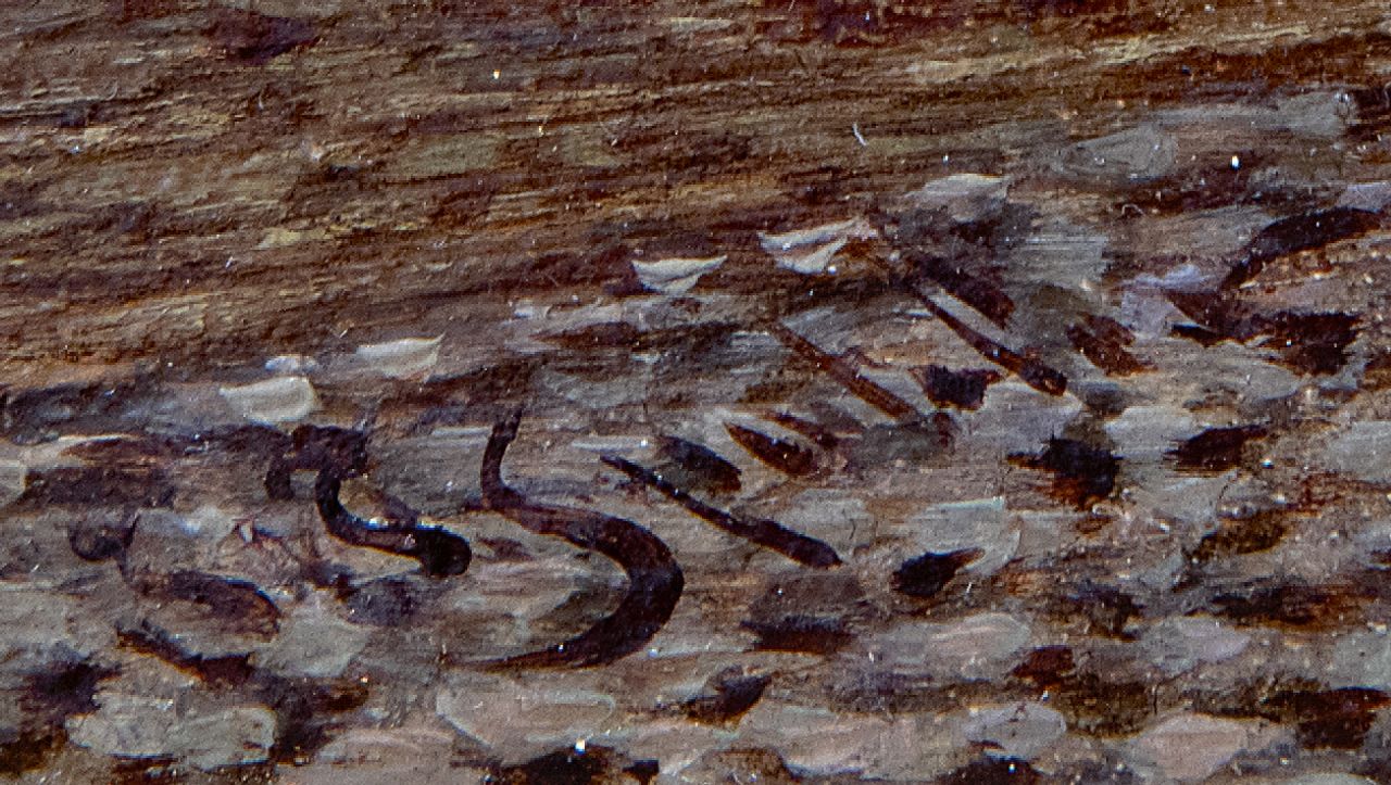 Johannes Franciscus Spohler signaturen Zomers stadsgezicht met de toren van de Bakenesserkerk in Haarlem (pendant van winter)