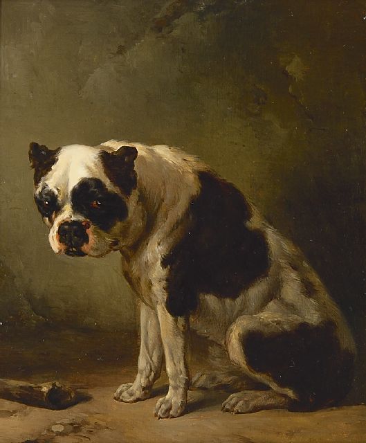 Verschuur W.  | Sitzender Bulldogge, Öl auf Holz 24,2 x 19,6 cm