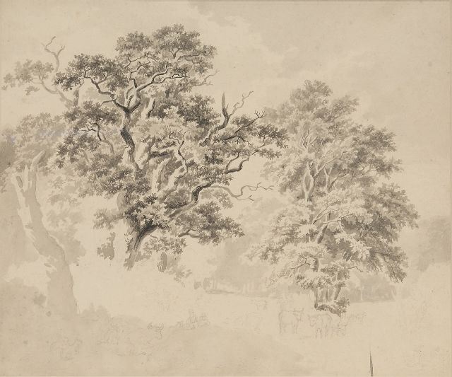 Barend Cornelis Koekkoek | Baumstudie, Tinte auf Papier, 28,5 x 32,8 cm