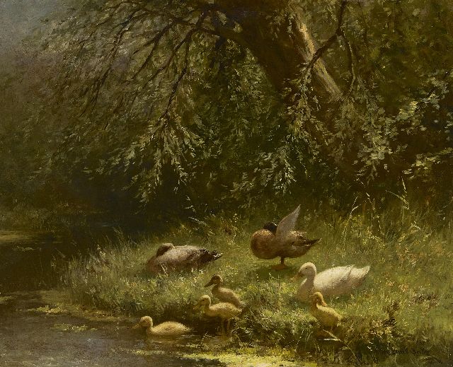 Constant Artz | Entenfamilie am Ufer, Öl auf Holz, 40,1 x 50,2 cm, Unterzeichnet u.r. und ohne Rahmen