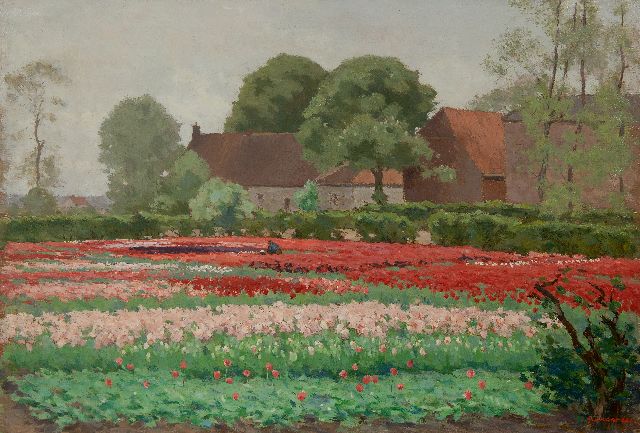Anton Koster | Feld mit roten und rosa Tulpen, Öl auf Leinwand, 52,3 x 76,3 cm, Unterzeichnet u.r.