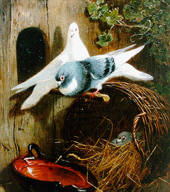 Ronner-Knip H.  | Pigeons, Öl auf Holz 19,4 x 15,8 cm, signed l.r.