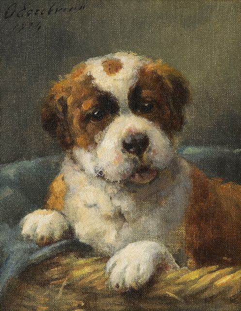 Eerelman O.  | Sint-Bernard pup in z'n mandje, olieverf op schildersboard 23,8 x 18,8 cm, gesigneerd l.b. en gedateerd 1924